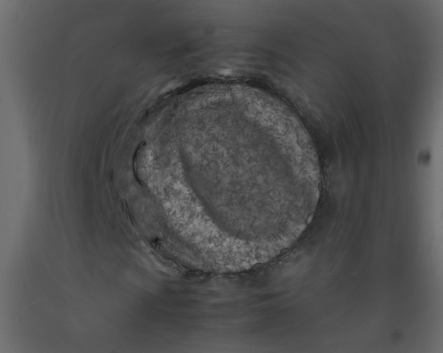 X0000092211009200710051132