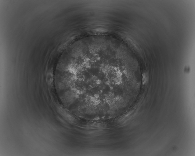 X0000092211011200710051132