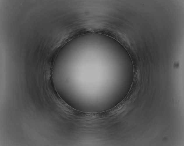 X0000092211012200710051132