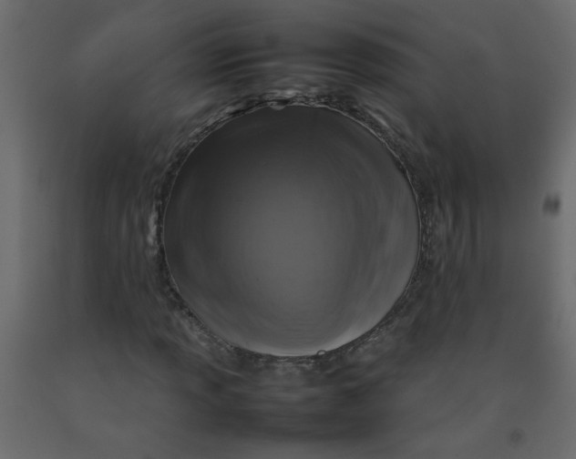 X0000092211013200710051132