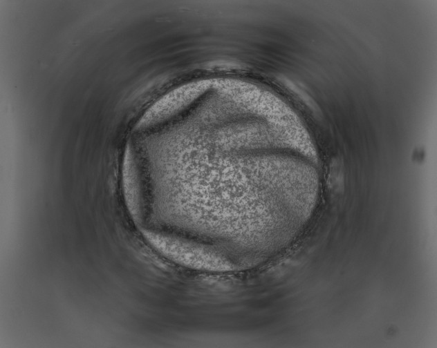 X0000092211015200710051132