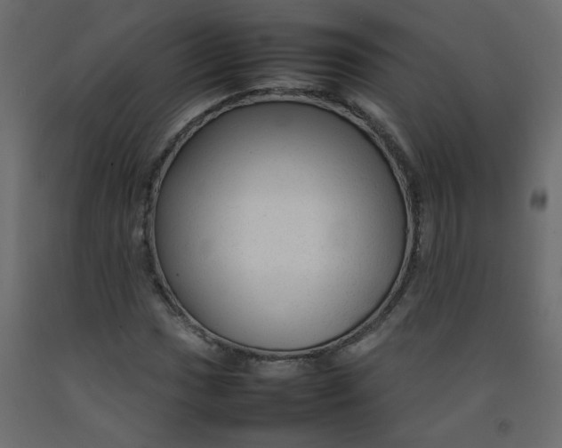 X0000092211017200710051132