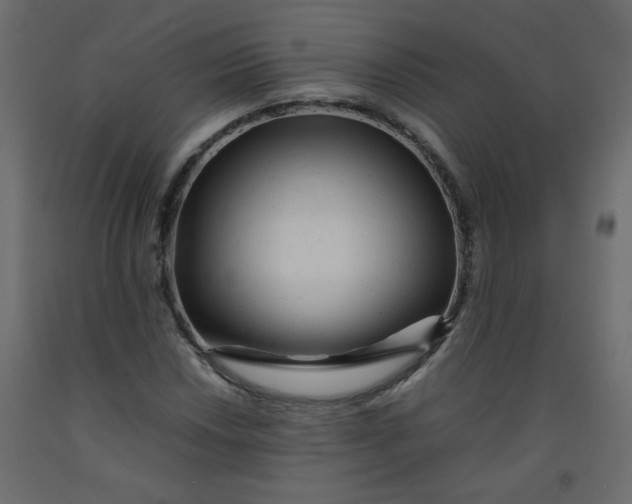 X0000092211018200710051132