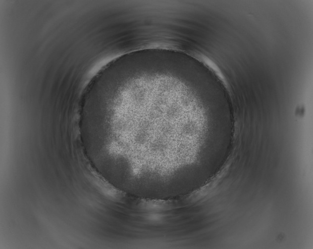 X0000092211019200710051132