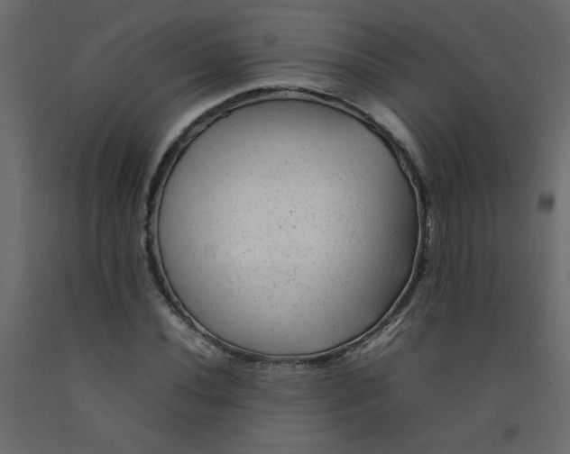 X0000092211020200710051132