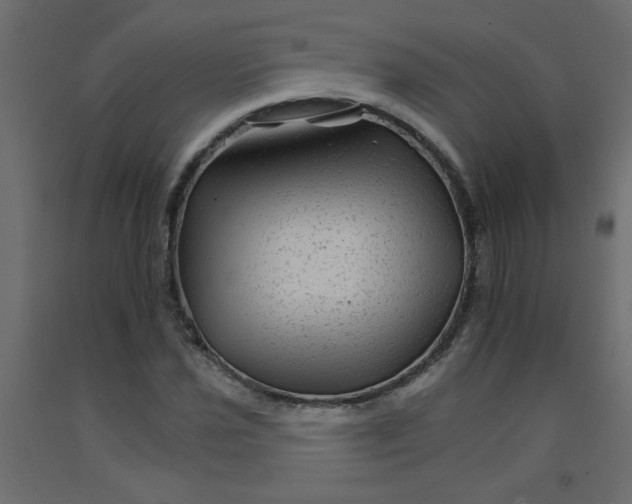 X0000092211021200710051132