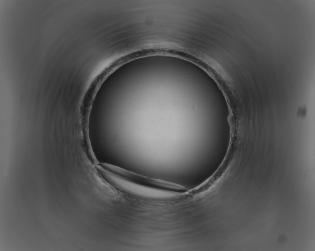 X0000092211022200710051132