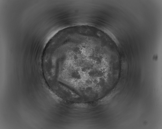 X0000092211023200710051132