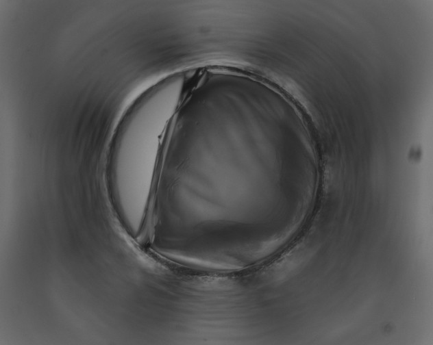 X0000092211024200710051132