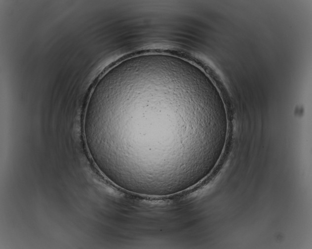 X0000092211025200710051132