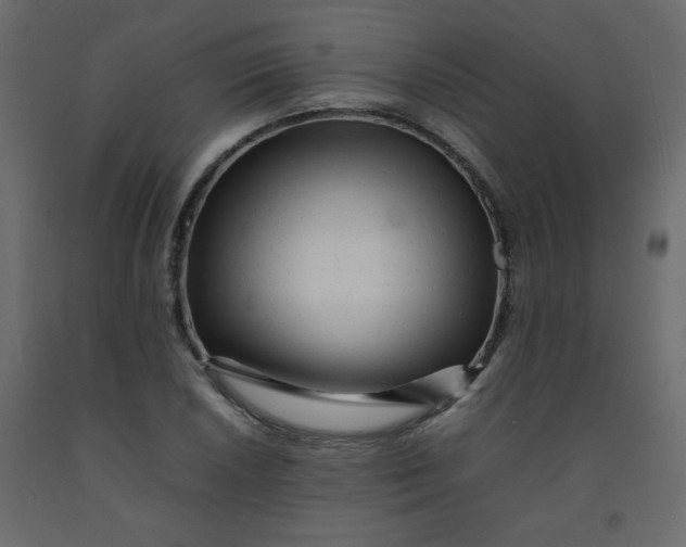 X0000092211026200710051132