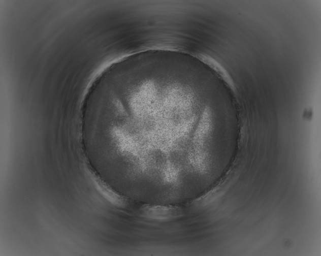 X0000092211027200710051132