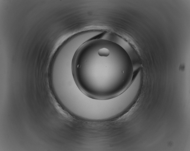 X0000092211030200710051132