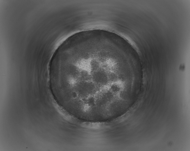 X0000092211031200710051132