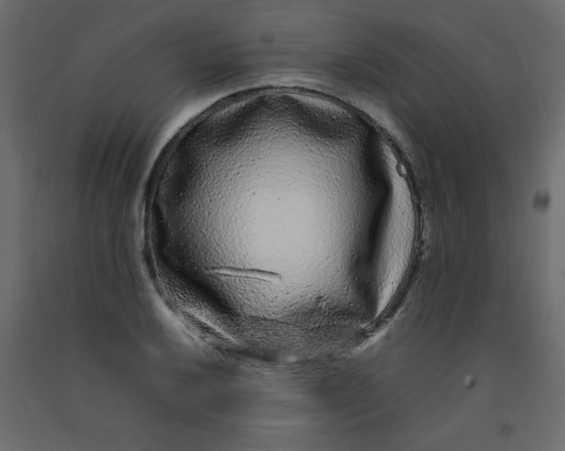 X0000092211032200710051132