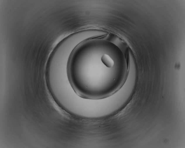 X0000092211034200710051132