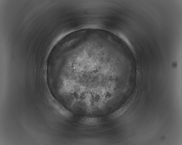 X0000092211035200710051132