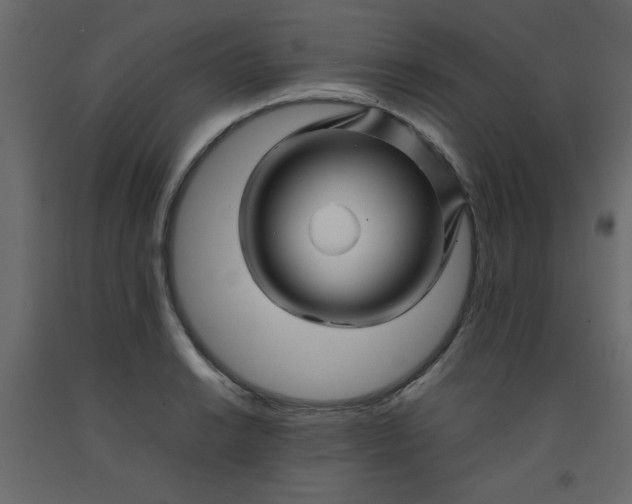 X0000092211038200710051132