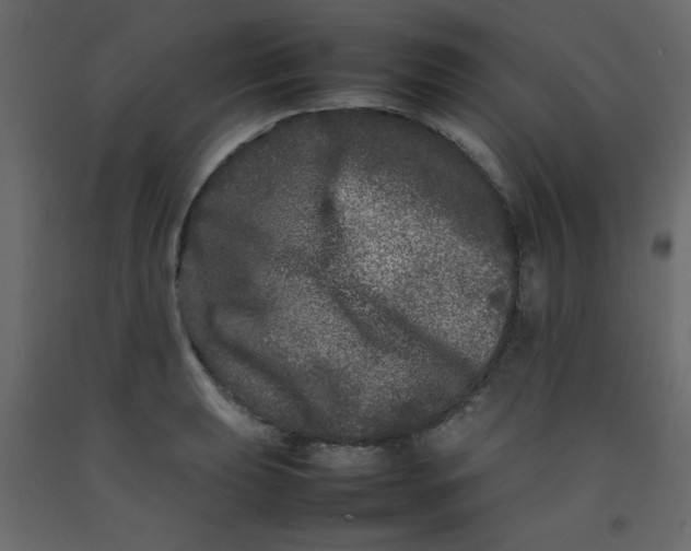 X0000092211039200710051132