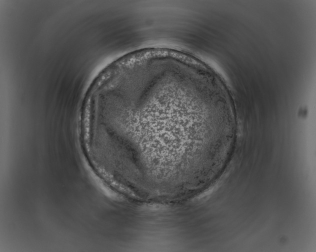 X0000092211040200710051132