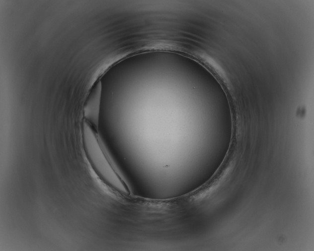 X0000092211041200710051132