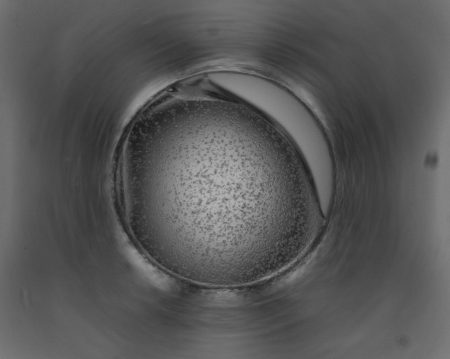 X0000092211042200710051132