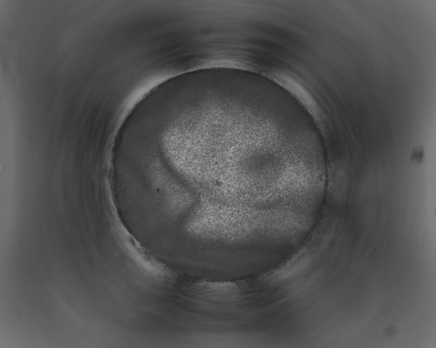 X0000092211043200710051132