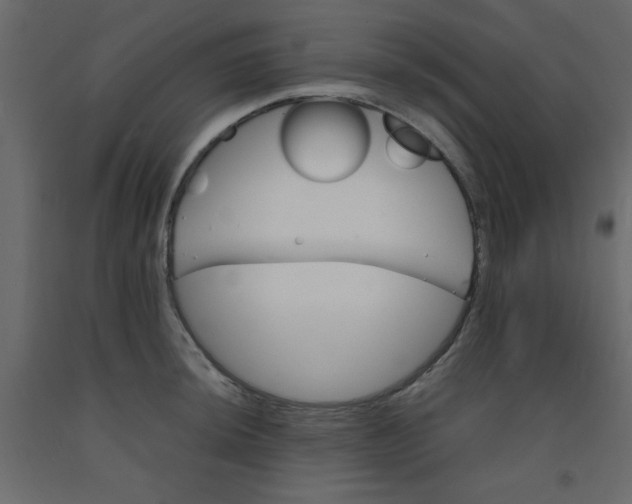 X0000092211044200710051132