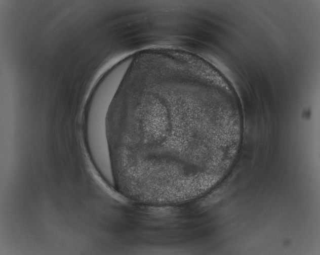 X0000092211045200710051132