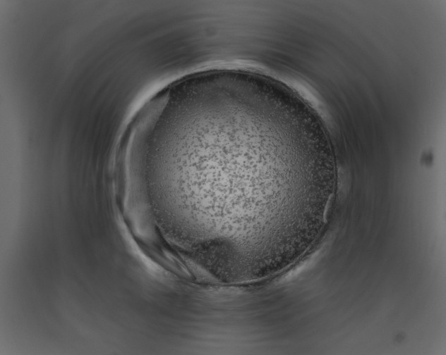 X0000092211046200710051132