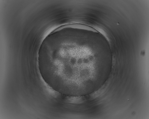 X0000092211047200710051132