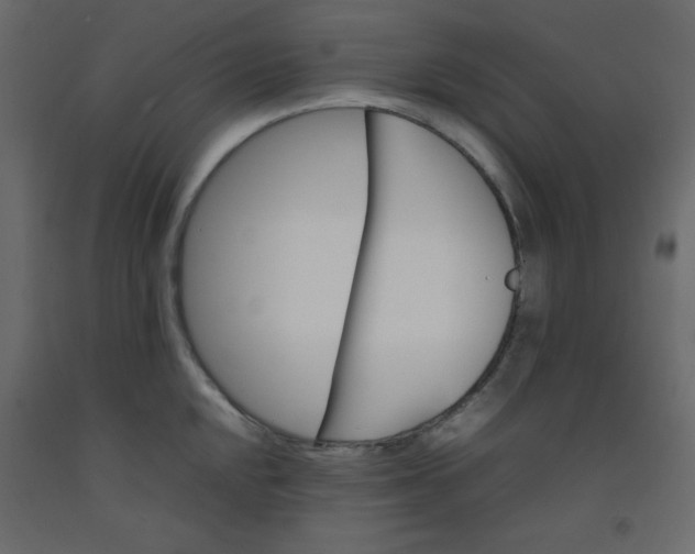 X0000092211048200710051133