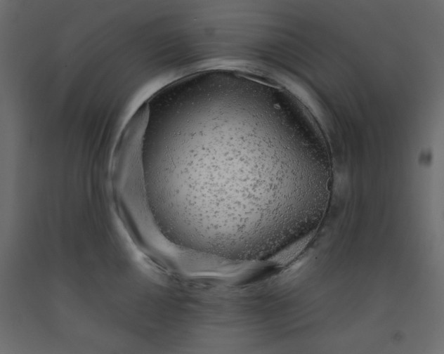 X0000092211050200710051133