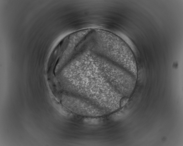 X0000092211051200710051133