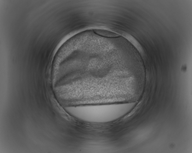 X0000092211052200710051133