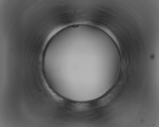 X0000092211053200710051133