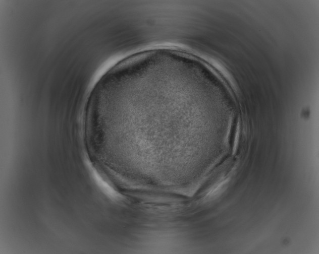 X0000092211054200710051133