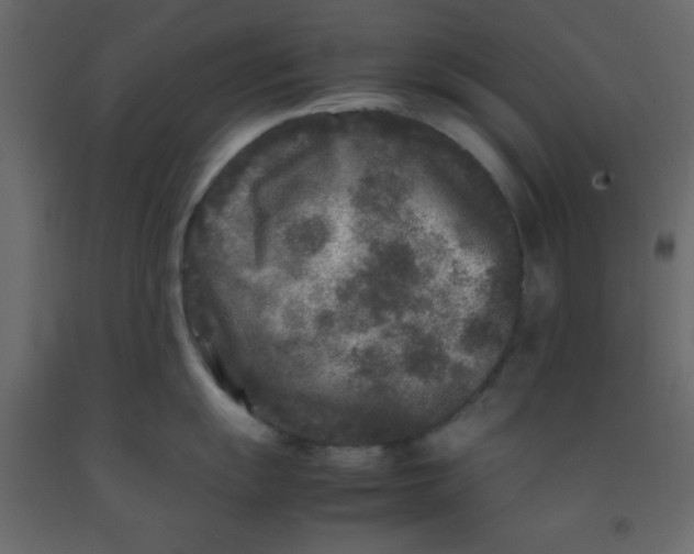 X0000092211055200710051133