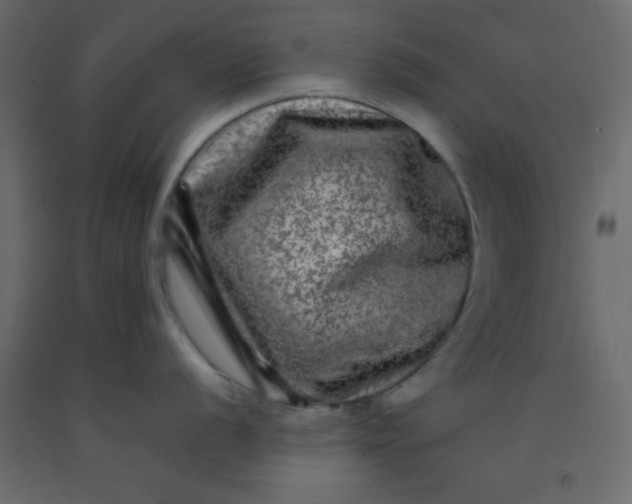 X0000092211056200710051133