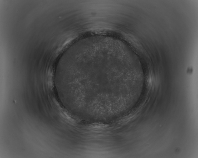 X0000092211060200710051132