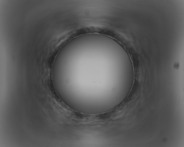 X0000092211061200710051132