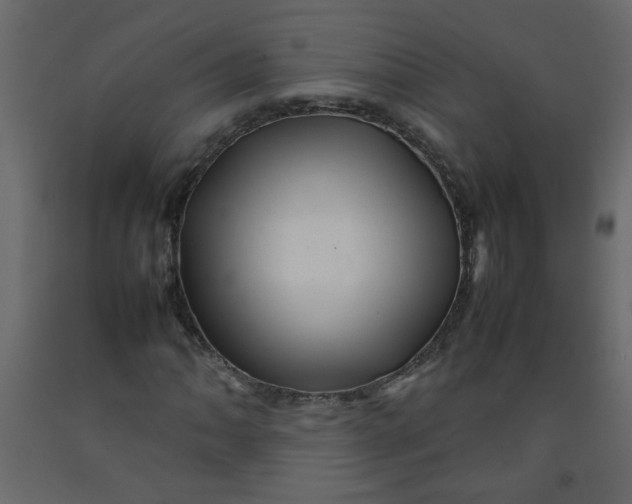 X0000092211062200710051132