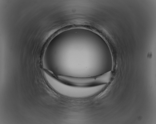 X0000092211065200710051132