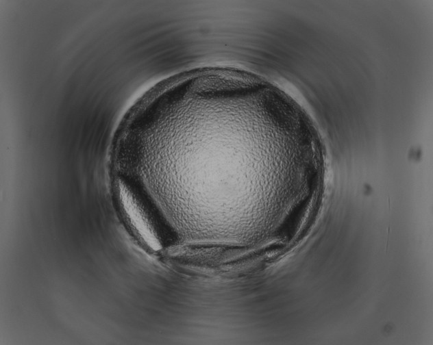 X0000092211068200710051132