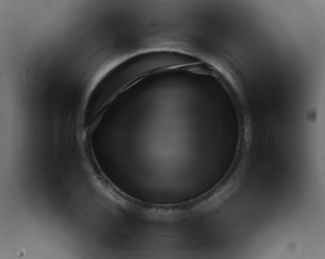 X0000092211069200710051132