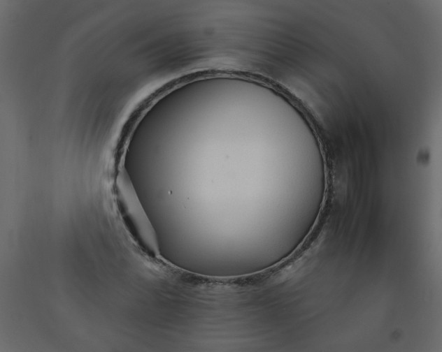 X0000092211070200710051132