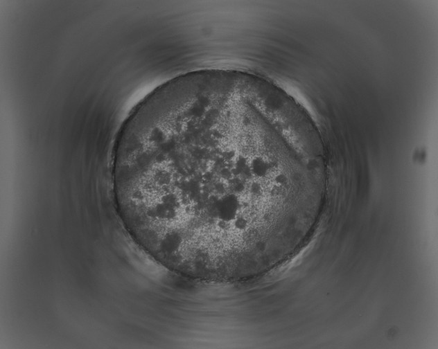 X0000092211071200710051132