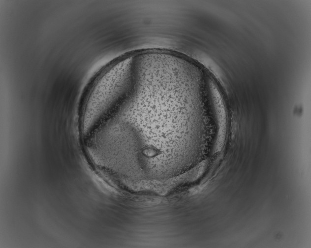 X0000092211072200710051132