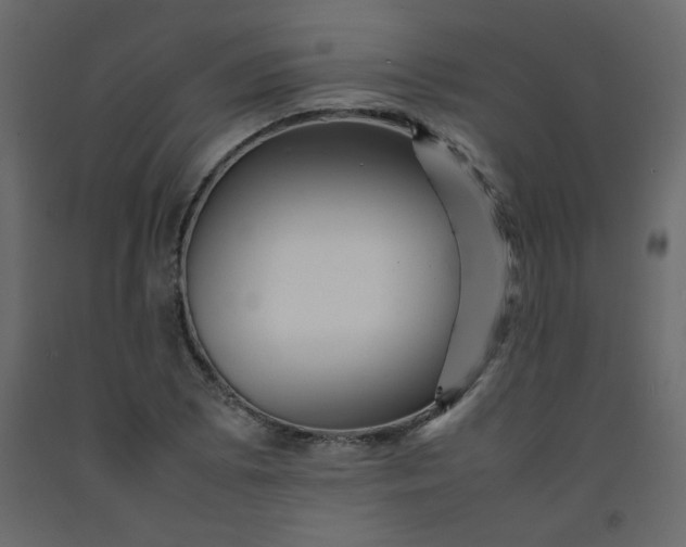 X0000092211073200710051132