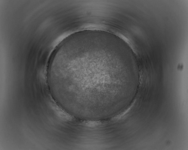 X0000092211074200710051132